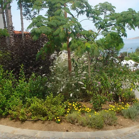 In Sveta Marina Village Apartmán